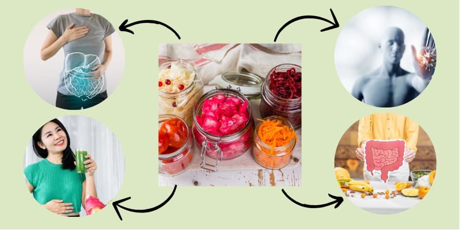 Beneficios de los alimentos fermentados